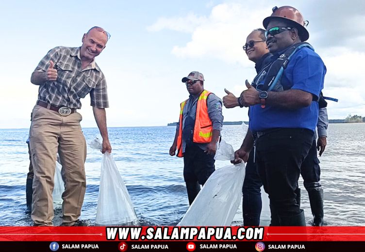 Manajemen PTFI saat melepas anakan baramundi (salampapua.com/Abeth)