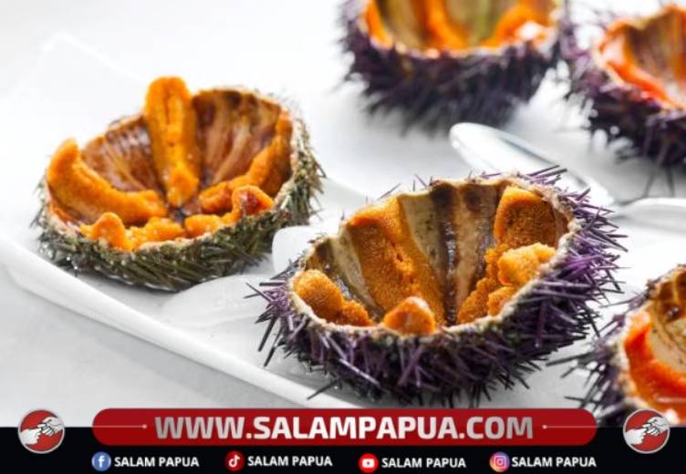 Bulu Babi, Ketahui Nutrisi Dan 6 Manfaatnya Bagi Kesehatan