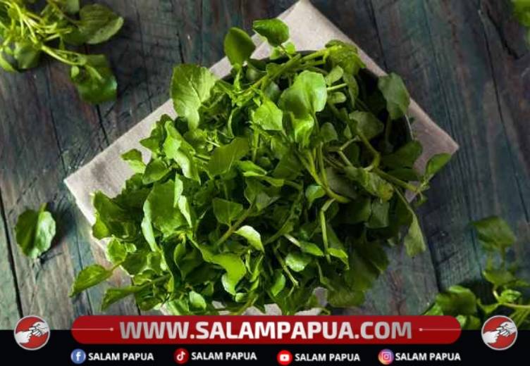 6 Manfaat Selada Air Untuk Kesehatan