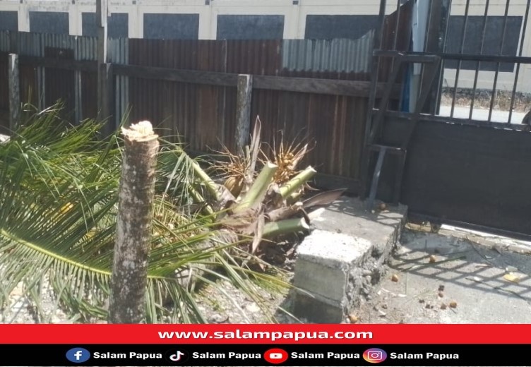 Diduga Suruhan Caleg, Pagar Rumah Ketua PPD Mimika Tengah Dirusak OTK