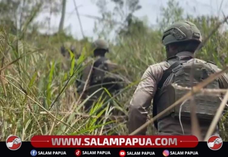 10 Pendulang Tewas Di Pegunungan Bintang, Satgas Damai Cartenz Fokus Evakuasi Korban Selamat