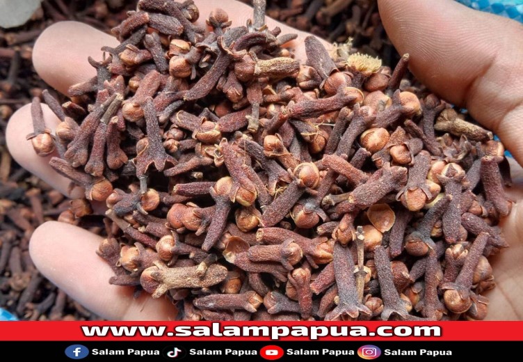 Rempah Kering Didatangkan Dari Luar Timika Adalah Cengkeh, Jintan Dan Merica Di Posisi Harga Termahal