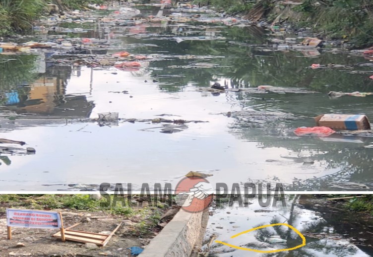Belum Lama Dikeruk, Warga Timika Kembali Buang Sampah Ke Kali