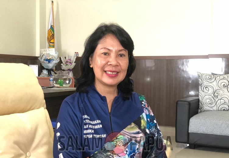 Dinas Peternakan Mimika Akan Memperkenalkan Telur Omega-3 Pertama Di Papua