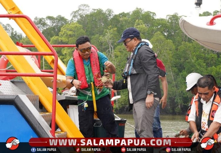 Dukung Keberlanjutan Ekosistem Pesisir Mimika, Freeport Lepas 10.000 Bibit Baramundi Dan 1.000 Kepiting Bakau