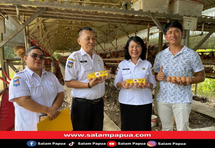 Peternak Binaan Disnakkeswan Mimika Berhasil Memproduksi 2.500 Butir Telur Omega-3