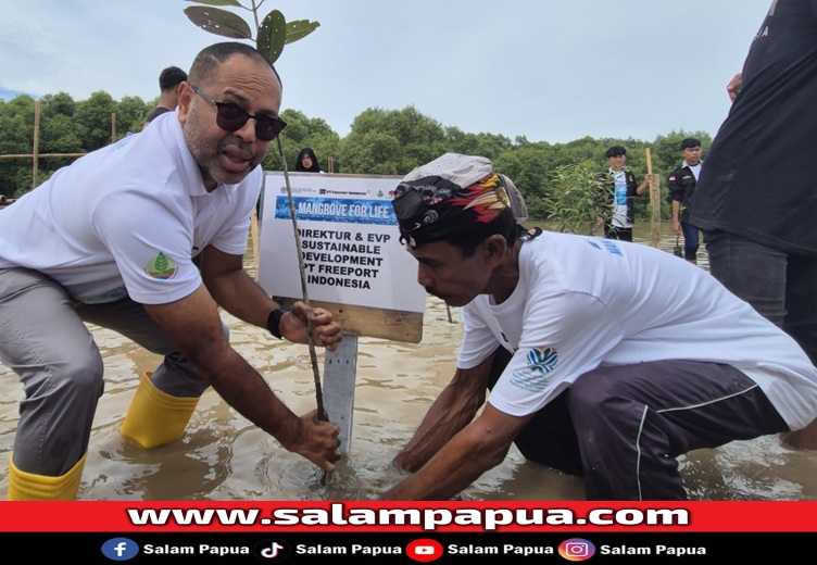 Direktur & EVP Sustainable Development PTFI Claus Wamafma melakukan penanaman mangrove secara simbolis (salampapua.com/Foto Corp.Comm PTFI)