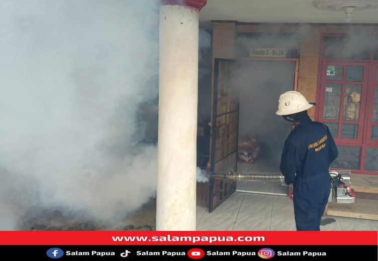 Puskesmas Timika Jaya Tangani 50 Kasus DBD, Banyak Pasien Menghindar Dari Pengawasan