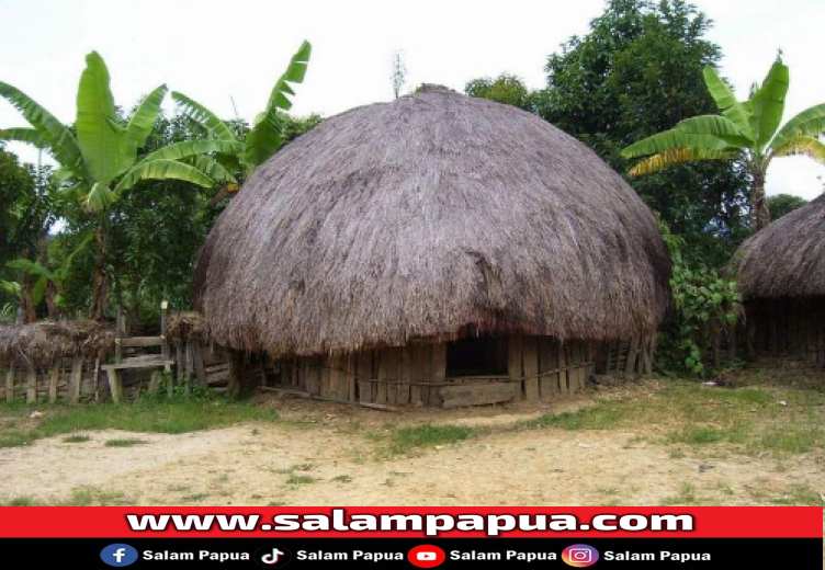 9 Macam Rumah Adat Papua Dan Keunikannya