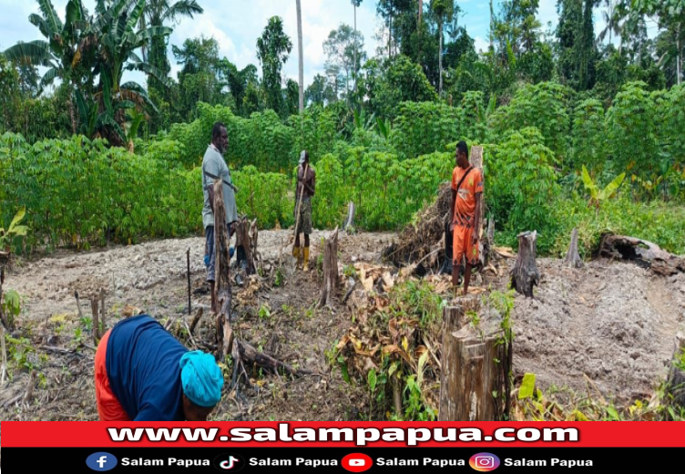 Kelurahan Kamoro Jaya Perkenalkan Project �Kamoro Bertani�