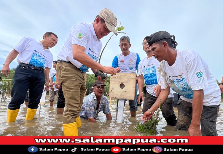 Menteri Lingkungan Hidup Hanif Faisol Nurofiq (tengah) melakukan penanaman mangrove secara simbolis (salampapua.com/Foto Corp.Comm PTFI)