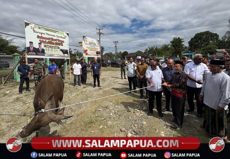 Dukung Perayaan Idul Adha, Pemprov Papua Tengah Sumbang 15 Ekor Sapi Di Mimika Dan Bantu Rp 500 Juta Untuk Masjid Al Ikhlas