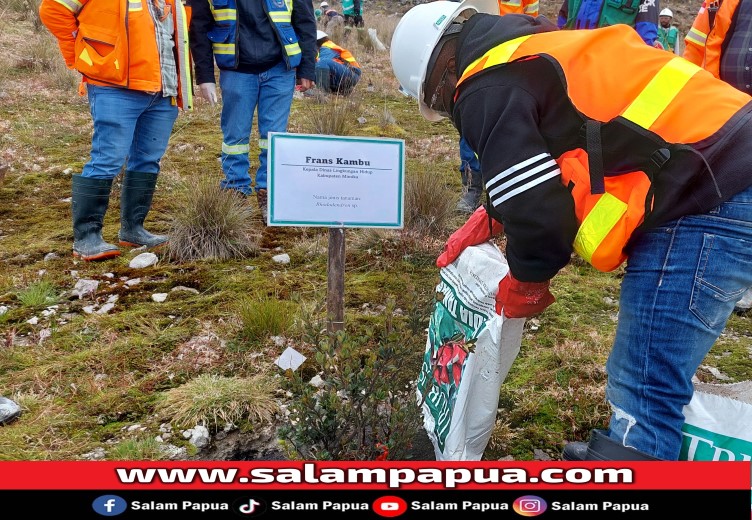 Kabid PPLH DLH Kabupaten Mimika Thomas Hendro Soe, saat mewakili Plt Kadis DLH Mimika Frans Kambu saat ikut menanam pohon (salampapua.com/JR)