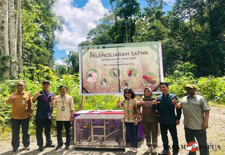 BBKSDA PAPUA BERSAMA PT FREEPORT INDONESIA MELEPASLIARKAN 62 EKOR AVES